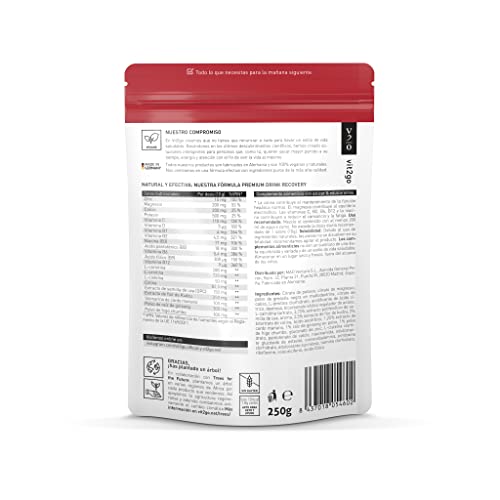 Vit2go DRINK RECOVERY (25 porciones) - Polvo electrolítico, desintoxicación y rehidratación del hígado, polvo de recuperación matutina con vitaminas, colina, flor de Kudzu, cardo mariano y L-cisteína
