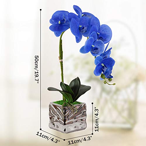 VIVILINEN Flores Artificiales Plásticos Flor de Phalaenopsis realistas Orquídea Mariposa Decoración Cálida para Hogar Dormitorio y Oficina (Azul)