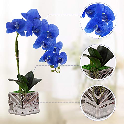 VIVILINEN Flores Artificiales Plásticos Flor de Phalaenopsis realistas Orquídea Mariposa Decoración Cálida para Hogar Dormitorio y Oficina (Azul)