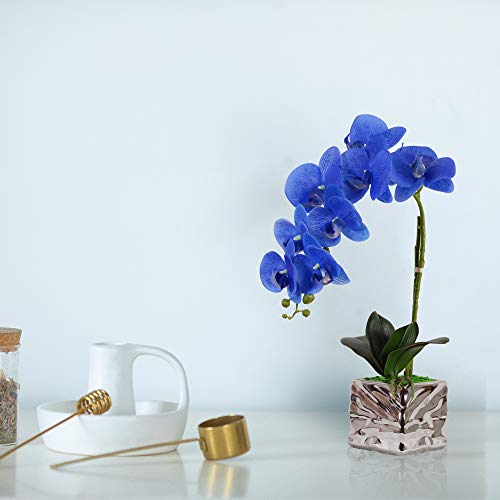 VIVILINEN Flores Artificiales Plásticos Flor de Phalaenopsis realistas Orquídea Mariposa Decoración Cálida para Hogar Dormitorio y Oficina (Azul)