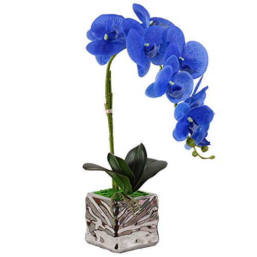 VIVILINEN Flores Artificiales Plásticos Flor de Phalaenopsis realistas Orquídea Mariposa Decoración Cálida para Hogar Dormitorio y Oficina (Azul)