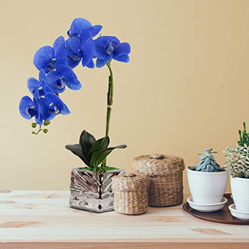 VIVILINEN Flores Artificiales Plásticos Flor de Phalaenopsis realistas Orquídea Mariposa Decoración Cálida para Hogar Dormitorio y Oficina (Azul)