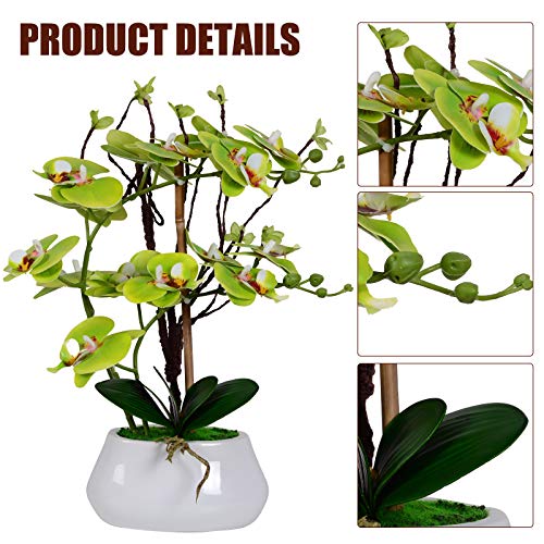 VIVILINEN Orquideas Artificiales en Maceta Flores Artificiales Plásticos Flor de Phalaenopsis Realistas Orquídea Mariposa con Maceta Cerámica Decoración Cálida para Hogar Dormitorio y Oficina (Verde)