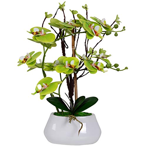 VIVILINEN Orquideas Artificiales en Maceta Flores Artificiales Plásticos Flor de Phalaenopsis Realistas Orquídea Mariposa con Maceta Cerámica Decoración Cálida para Hogar Dormitorio y Oficina (Verde)