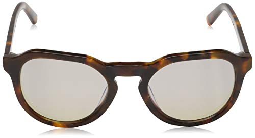 WEB WE0232 Gafas de Sol, Marrón (Dark Havana/Gradient Brown), 50.0 Unisex Adulto