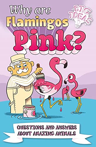 Why Are Flamingos Pink?: Questions and Answers About Amazing Animals (Big Ideas, 13)