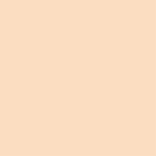 Winsor & Newton Rotulador de alcohol Promarker Brush, doble punta, punta pincel, color Blush (O729)