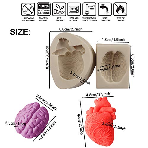 WonDerfulC 2 piezas de moldes 3D de corazón humano y cerebro para helado de chocolate, jabón para aromaterapia, DIY Halloween Sorprise Organ Molde de silicona para tartas