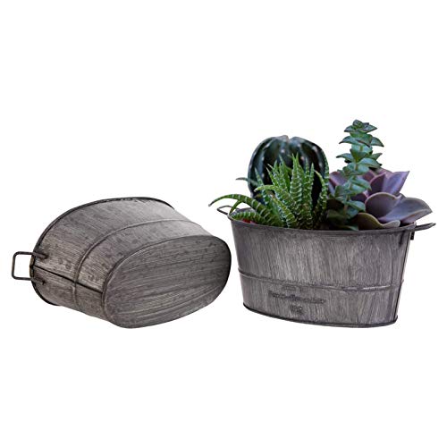 WT-DDJJK Suministros de jardinería, Maceta Decorativa para Plantas de jardín, Maceta suculenta Vintage, Capa de Zinc, Cajas de Cubo FLO, Rebajas de Viernes Negro 2020