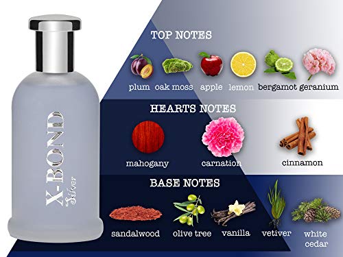 X-BOND SILVER Agua de tocador (Eau de Toilette) para hombres, 100 ml - tiempo limitado oferta