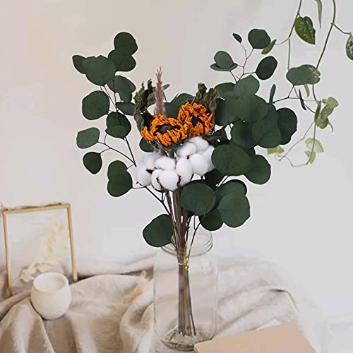 XHXSTORE Bouquet Flores Secas Decoracion Pequeña 43cm Hojas de Eucalipto Secas Verde con Rama de Algodon Natural Blanco y Girasoles Amarilla Ramo Flor Seca Natural para Jarrones Interior Boda Fiesta