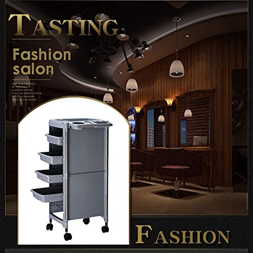 XINTONGSPP Salón Peluquería Carro, Rolling Beauty Salon Trolley Profesional Barber Equipo Tatuaje Multifunción SPA Peluquería Muebles,Gris