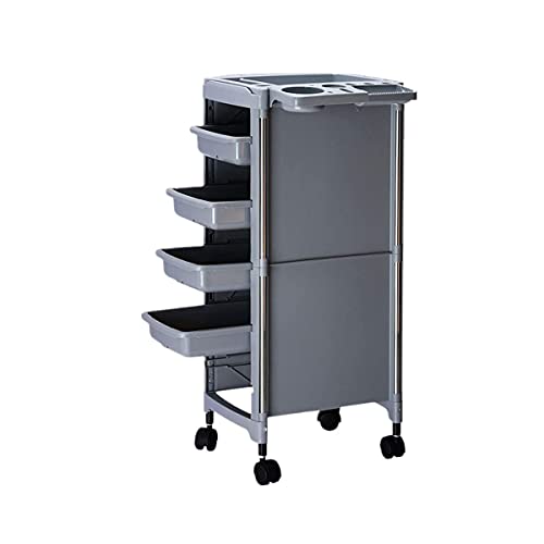 XINTONGSPP Salón Peluquería Carro, Rolling Beauty Salon Trolley Profesional Barber Equipo Tatuaje Multifunción SPA Peluquería Muebles,Gris