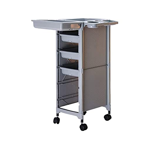 XINTONGSPP Salón Peluquería Carro, Rolling Beauty Salon Trolley Profesional Barber Equipo Tatuaje Multifunción SPA Peluquería Muebles,Gris