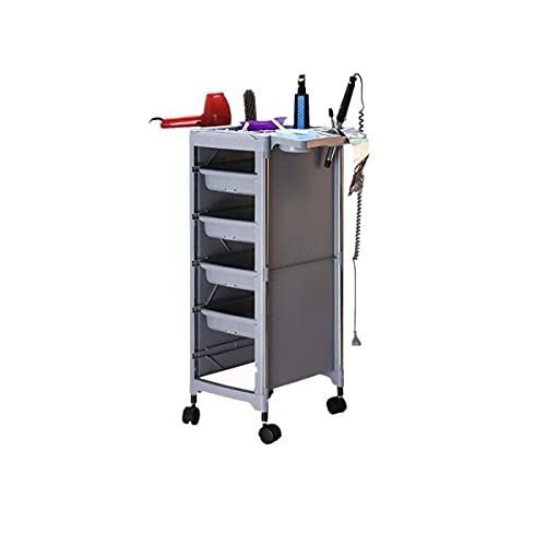 XINTONGSPP Salón Peluquería Carro, Rolling Beauty Salon Trolley Profesional Barber Equipo Tatuaje Multifunción SPA Peluquería Muebles,Gris