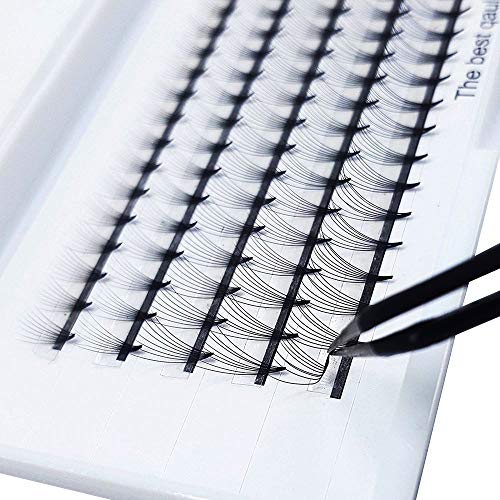 Xrten 8D Volumen Ventilador Pestañas, Pestañas Postizas para Salón Profesional, Extensiones de Pestañas 8D Volumen 2 Bandejas de 0.07mm de Curvatura en D 8-12mm Longitud de Mezcla, Pestañas Rusas