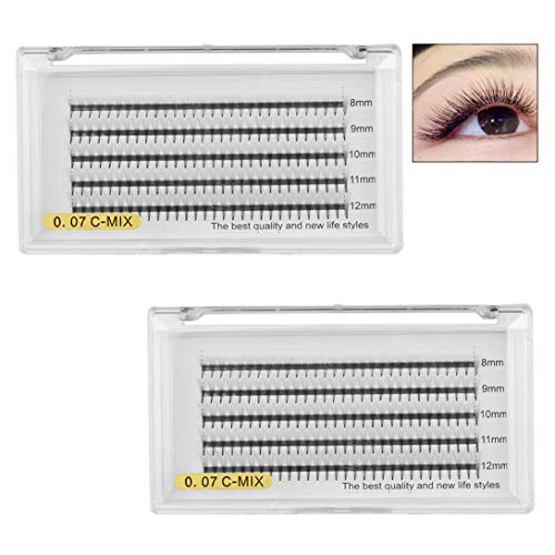 Xrten 8D Volumen Ventilador Pestañas, Pestañas Postizas para Salón Profesional, Extensiones de Pestañas 8D Volumen 2 Bandejas de 0.07mm de Curvatura en D 8-12mm Longitud de Mezcla, Pestañas Rusas