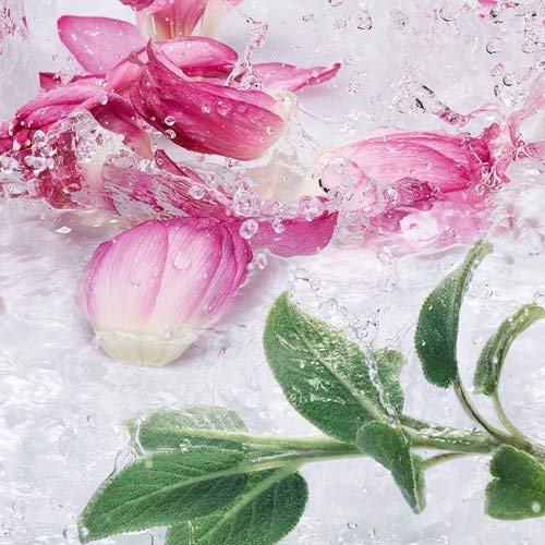 Yves Rocher LES PLAISIRS NATURE - Crema de manos con flor de loto y salvia hidratante para el cuidado de las manos, 1 tubo de 30 ml