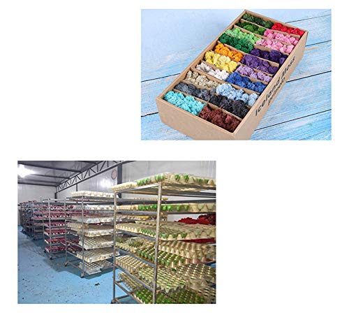 Yw-Flower Musgo de Finlandia, Musgo de Reno seco Natural preservado, decoración de Patio de jardín en casa, 20 Colores, 500 g/Caja