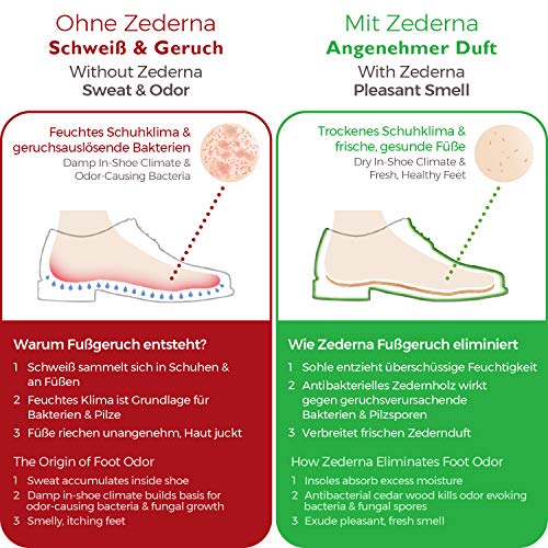 Zederna plantillas de madera de cedro, para pies sudorosos, olor de pies /calzado. 100% natural y antibactariano. Eficaz contra hongos en pies y uñas. Plantillas frescas/ para uso sin calcetines. 44