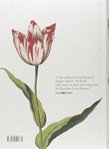 A Garden Eden (Bibliotheca Universalis) (Italiano, Español, Portugués) Tapa dura – 30 ago 2016