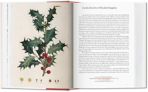 A Garden Eden (Bibliotheca Universalis) (Italiano, Español, Portugués) Tapa dura – 30 ago 2016