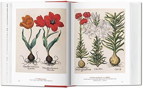 A Garden Eden (Bibliotheca Universalis) (Italiano, Español, Portugués) Tapa dura – 30 ago 2016
