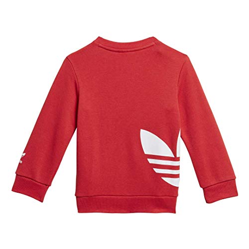 adidas Originals Men's Big Trefoil Crew Neck Sweatshirt, Lush Red/White, 2T