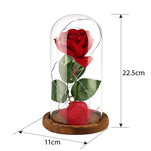 Anaoo Rosas Bella y la Bestia Regalo para Mujeres, Madres, Novia, San Valentin, Cumpleaños, Boda, Aniversario, con Una Cúpula de Cristal sobre una Base, con Mando a Distancia y Una Tarjeta