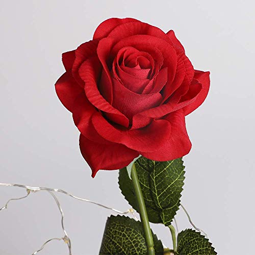 Anaoo Rosas Bella y la Bestia Regalo para Mujeres, Madres, Novia, San Valentin, Cumpleaños, Boda, Aniversario, con Una Cúpula de Cristal sobre una Base, con Mando a Distancia y Una Tarjeta