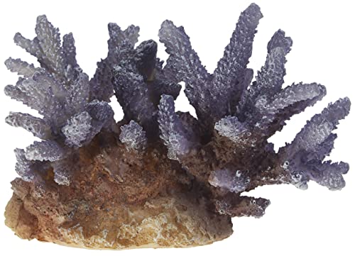 Aqua Della 234-431368 Coral Acropora - Decoración para Acuario, Color Lila