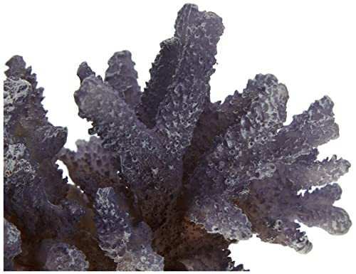 Aqua Della 234-431368 Coral Acropora - Decoración para Acuario, Color Lila