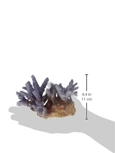 Aqua Della 234-431368 Coral Acropora - Decoración para Acuario, Color Lila