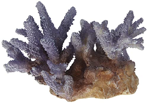 Aqua Della 234-431368 Coral Acropora - Decoración para Acuario, Color Lila