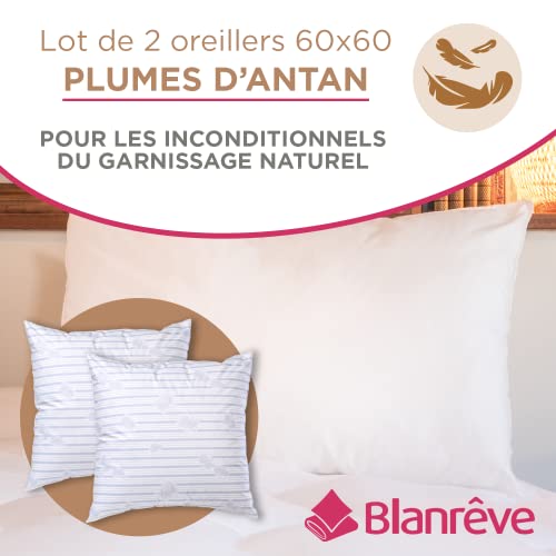 Blanrêve Lote De 2 Almohadas De Pluma