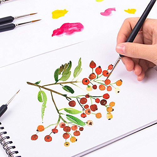 BUZIFU Pinceles Finos, 9 Piezas Pinceles 0 00 000 con Mango Madera, Pinceles Acrilico para Pintura de Arte, Juego de Pinceles Profesionales para Modelismo/Miniaturas/Detalles Pequeños o Acuarelas