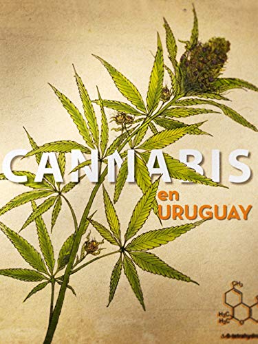 Cannabis en Uruguay