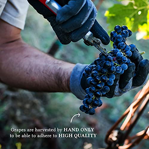 Chianti Classico di Montemaggio - Vino Tinto Seco Fino Orgánico de Italia - DOCG Toscana - Gallo Nero - Sangiovese/Merlot - Fattoria di Montemaggio - 0.75L - 1 Botella