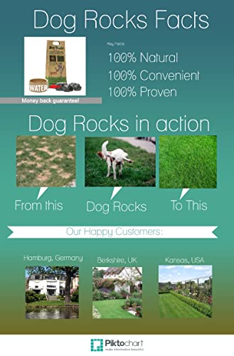 Dog Rocks - Bolso Preventivo de Parche de Orina Dog Rocks (200 g), negro