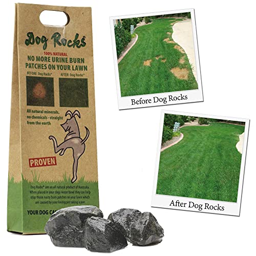 Dog Rocks - Bolso Preventivo de Parche de Orina Dog Rocks (200 g), negro