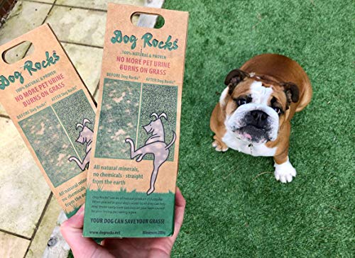 Dog Rocks - Bolso Preventivo de Parche de Orina Dog Rocks (200 g), negro