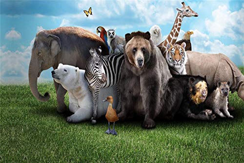 FAWFAW Puzzle Personalizado 500 Piezas, Prairie Wildlife Tribe, Oso Elefante Hipopótamo León, 1500/1000/500/300 Piezas, Juguetes Educativos De Aprendizaje