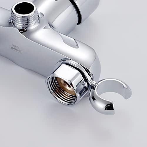 Ibergrif M15122, Monomando para Bidé WC, Grifo de Ducha para Agua Fría y Caliente, Cromo, Plata