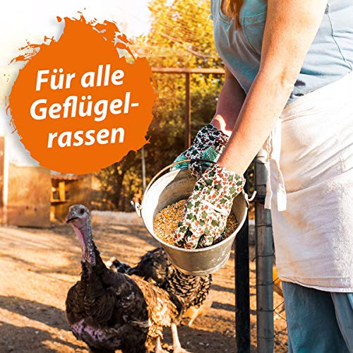 Ida Plus - Levadura de cerveza especial de aves de corral - 1500 g - Complemento alimenticio para gallinas, aminoácidos, minerales y oligoelementos - favorece la formación de plumas