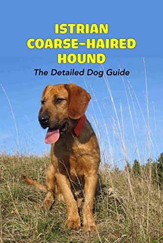 Istrian Coarse-Haired Hound: The Detailed Dog Guide: Istrian Coarse-Haired Hound Health Care (English Edition)