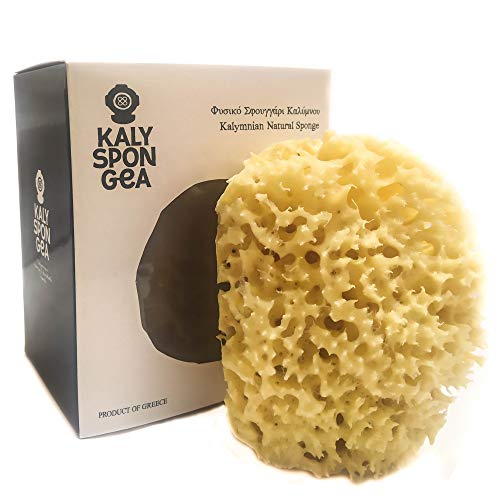 Kalyspongea® - Esponja de playa 100% natural, grande, 12 – 13 cm, de Grecia de alta calidad, fuerte y resistente, exfoliante de baño para ducha, cuerpo vegetal, marina, paquete para regalo