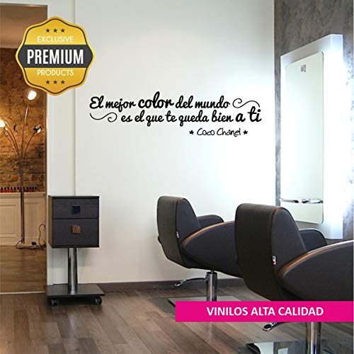 La Tienda de las Pegatinas® Vinilo Peluquería el mejor color, Estética, Peluquera, Esteticién, Sticker, Pegatina de pared, Decoración Peluquería. (Grande 208 x 55 cm, Azul claro)
