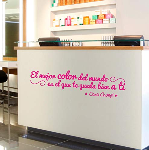La Tienda de las Pegatinas® Vinilo Peluquería el mejor color, Estética, Peluquera, Esteticién, Sticker, Pegatina de pared, Decoración Peluquería. (Grande 208 x 55 cm, Azul claro)
