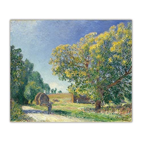 Laminas para cuadrosUn Bosque Claro 1885 por Alfred Sisley Lienzo Pintura al óleo estética Cuadros Arte telón de Fondo Decoracion Decoracion del hogar60x90cm x1 Sin Marco