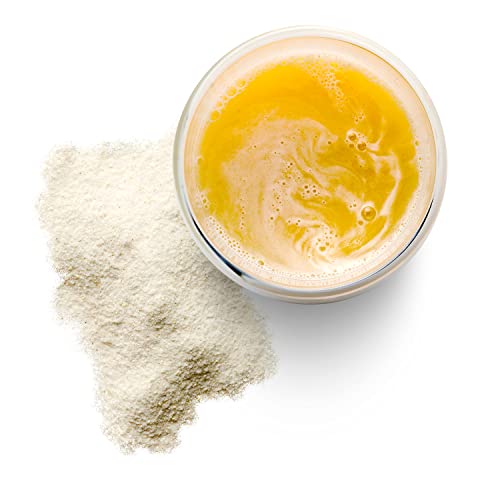 Minerales y Oligoelementos - Sabor Plátano - Complejo Mineral Natural con Esencia de Shilajit Primordial - 450g Polvo